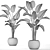 Exotic Houseplant Collection 3D model small image 5