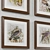 Title: Charming Birds 4-Piece Framed Print Set 3D model small image 5