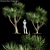 Exquisite Dragon Tree Model | 3D | High-Quality 3D model small image 1