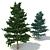Spruce V2: High-Quality 3D Tree 3D model small image 1
