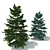 Spruce V3 - High-quality 3D Tree Model 3D model small image 1