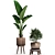 Exotic Indoor Plant Collection 3D model small image 3