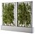 Elegant Gray Ivy Box Plants 3D model small image 1