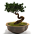 Miniature Bonsai Tree for Elegant Décor 3D model small image 1