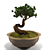 Miniature Bonsai Tree for Elegant Décor 3D model small image 2