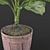 Exquisite Dieffenbachia Sublime: Lush Indoor & Outdoor Decor 3D model small image 3