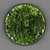 Evergreen Vertical Garden Wall 3D model small image 1