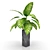 Exquisite Dieffenbachia: Polys 124,282 3D model small image 3