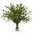 Elegant Branches in Vase - 010 3D model small image 1