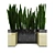 Sleek Sansevieria Leaf Sculpture 3D model small image 2