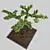 Flowering Bonsai in Pot 3D model small image 4