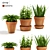 Beautiful Terracotta Pots for Exquisite Plants 3D model small image 1