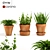 Beautiful Terracotta Pots for Exquisite Plants 3D model small image 2