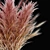 Elegant Pampas Bouquet - Handcrafted Floral Beauty 3D model small image 4