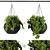 Black Pot Hanging Plant 3D model small image 1