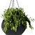 Black Pot Hanging Plant 3D model small image 3