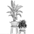 Exotic Houseplant Collection 3D model small image 5