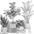Exotic Indoor Plant Collection 3D model small image 4