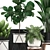 Exotic Indoor Plant Collection 3D model small image 5