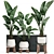 Exotic Houseplant Collection 3D model small image 1