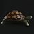 Title: Turtle 3D Model with UVW Mapping+Textures 3D model small image 2