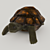 Title: Turtle 3D Model with UVW Mapping+Textures 3D model small image 7