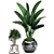 Exotic Indoor Plant Collection 3D model small image 2
