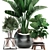 Exotic Indoor Plant Collection 3D model small image 3