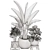 Exotic Indoor Plant Collection 3D model small image 5
