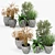 Modern Knisely Pot Planter Set 3D model small image 1