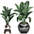 Exotic Houseplants Collection 3D model small image 3