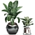 Exotic Houseplants Collection 3D model small image 4