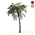 Tropical Paradise Palm Tree 3D model small image 3