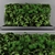 GreenWall Vertical Garden 3D model small image 1