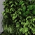 GreenWall Vertical Garden 3D model small image 2