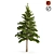 Realistic Pine Tree - Lifelike Décor 3D model small image 1