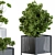 Metal Box Home Set: Stylish Plant Display 3D model small image 3