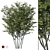 Realistic Honey Locust Tree - High Resolution 3D Model 3D model small image 1