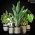 Diverse 270 Plant Collection 3D model small image 3