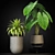 Diverse 270 Plant Collection 3D model small image 5