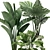 Exotic Houseplant Collection 3D model small image 5