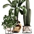 Exotic Houseplant Collection 3D model small image 4