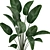 Exotic Houseplant Collection: Banana Palm, Ravenala & Strelitzia 3D model small image 2