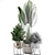 Exotic Indoor Plant Collection 3D model small image 4