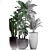 Exotic Indoor Plant Collection 3D model small image 4