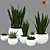 Modern Ceramic Vase with Plant 3D model small image 2