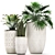 Exotic Plant Collection - Scandinavian Style 3D model small image 1