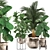 Tropical Plant Collection: Ficus Lyrata, Howea Forsteriana, Kentia, Luxury Indoor Palms 3D model small image 1