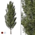 Realistic High Poly Pine Tree 3D model small image 1