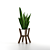 Modern Sansevieria Plant: 3D Model for 3Ds Max 3D model small image 6